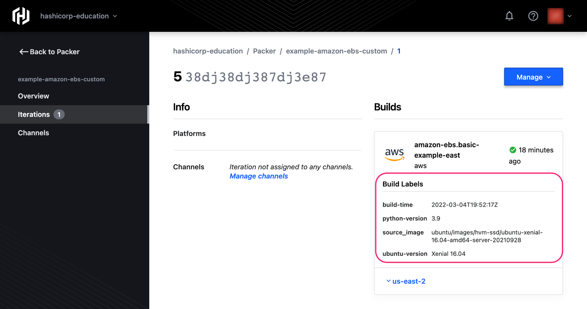 Iteration details page on HCP Packer registry showing a build with custom description and labels